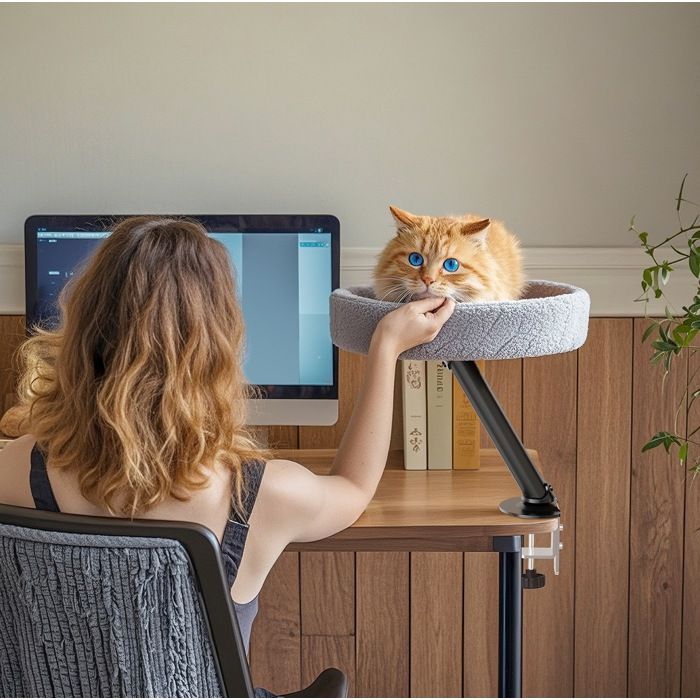 Niche Suspendue pour Chat Bureau Escalade Arbre à Chat Design Moderne Lit Confortable