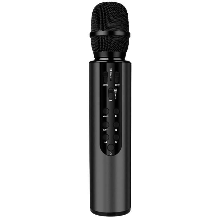Microphone Bluetooth 5.0 Dual Speakers Hi-Fi Sound Quality AUX/TF 2000mAh Karaoke Black