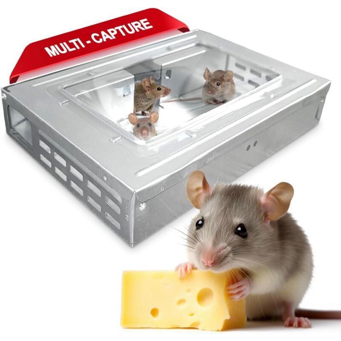 Piège à souris vivantes multi-capture - PZCC - Métal - Sécurisé pour enfants et animaux - Réutilisable - Écologique