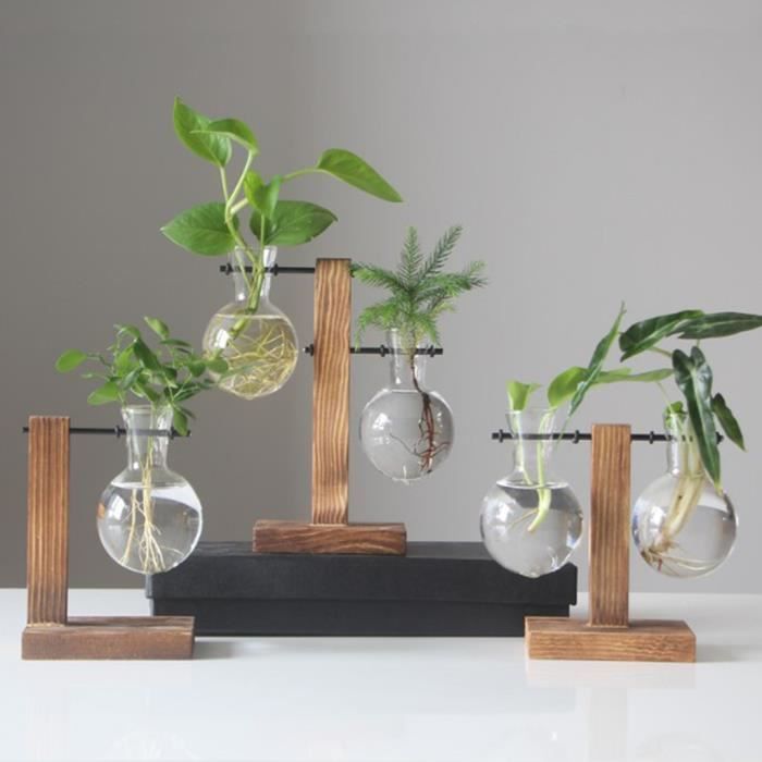 12 Vases Suspends En Verre Tube à Essai - Pour Fleurs, Boutures, Décoration Murale - Idée Cadeau Créative