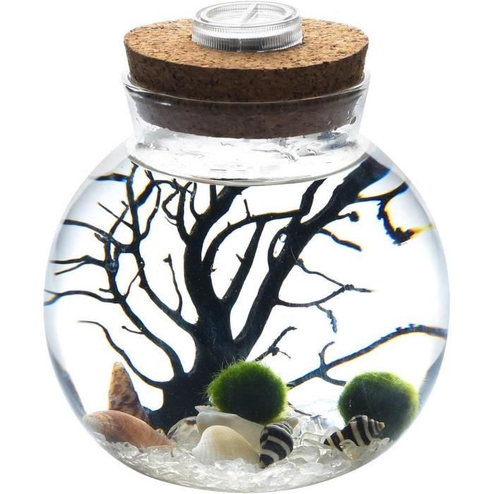 Dôme Verre Avec Base Bois MagiDeal - 15cm, Cloche Display Pour Décorations Miniatures