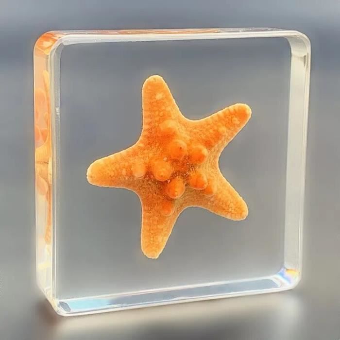 Bersaglio Per Tiro Con Arco 50x50cm In Paglia - Ecologico, Doppio Strato, Per Esterni E Cortile - Foto 12