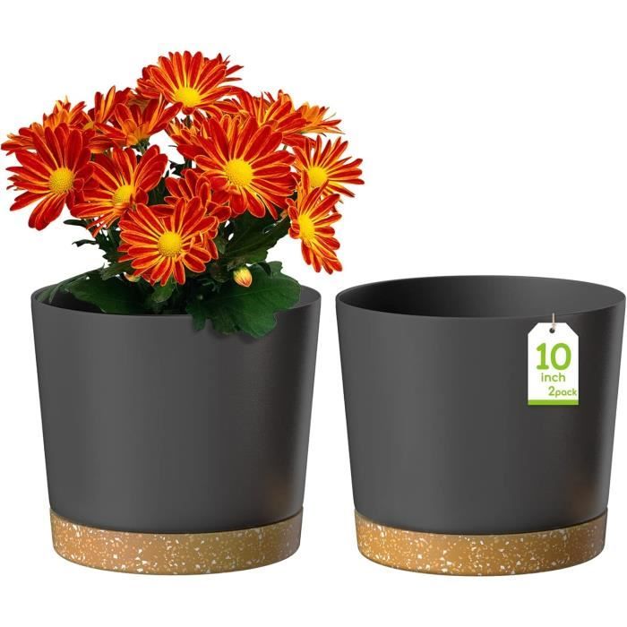 Sitemapcdatahttpsnoykniqoocomcarrefour Pot De Fleursnull