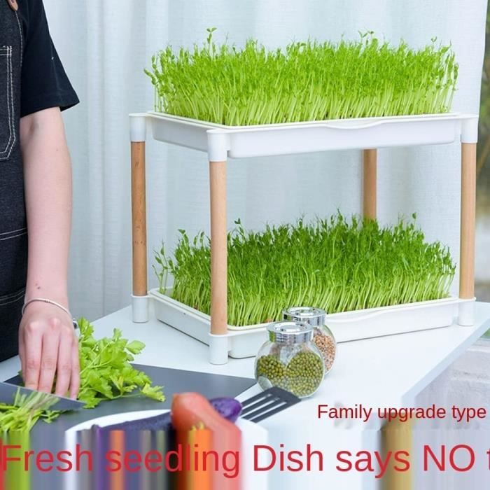 Machine à Germer Les Légumes Et Faire Du Yaourt - Automatique, 2 étages, 8W, Prise UE 220V