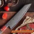 Couteau de cuisine Damascus 67 Couches Japonais Damas Chef Steel Chef Couteau Purple Ligne Solidied Bois Poign&eacute;e Meilleur354-3