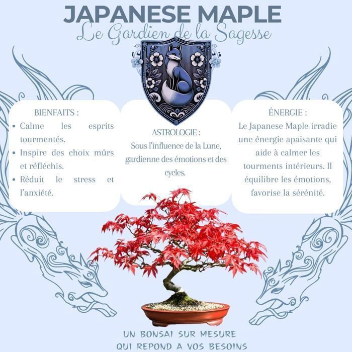 Kit Bonsai - CULTIVEA - Japanese Maple - Prt  Pousser - Idal Dbutants -  Ide Cadeau Jardinage - Cdiscount Jardin