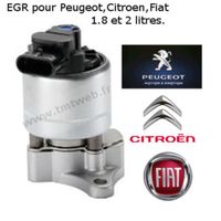 Vanne EGR 1.8 et 2 Litres HDI Peugeot/Citroen