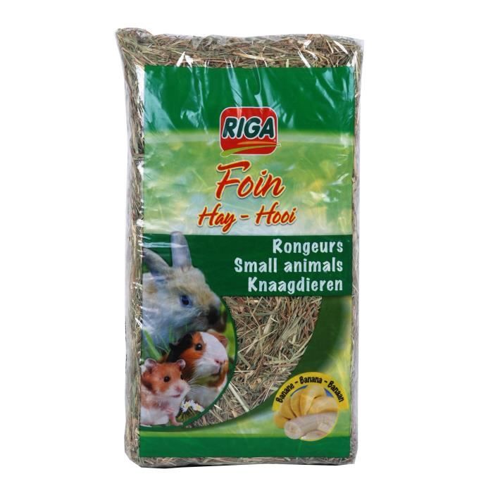 RIGA Paquet de foin à la banane en plastique - 500 g - Pour rongeur