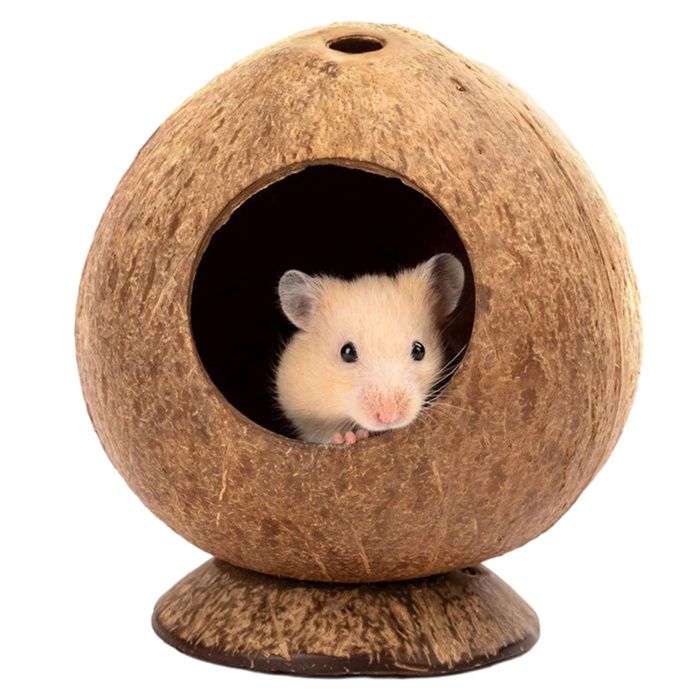 Comparer les prix de Maison pour hamster - Non spécifié - Cabane en noix de coco - Marron - 135 x 12 cm - Intérieur