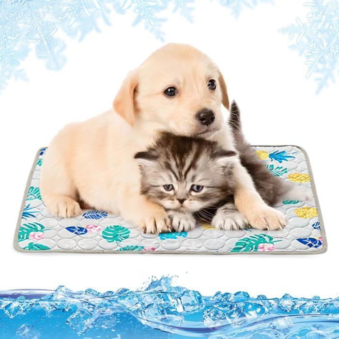 Tapis rafraîchissant pour chien Grande couverture rafraîchissante pour chien Taille XL 100 x 70cm Tapis rafraîchissant non toxique