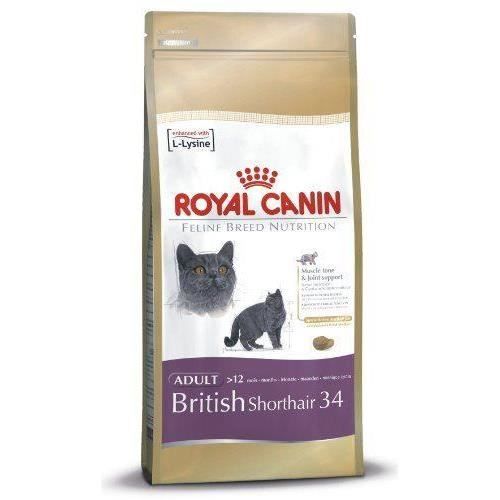 Royal Canin Race British Shorthair Adult - Cdiscount