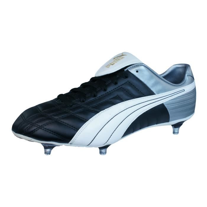 puma mestre