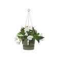 ELHO Pot de fleurs à suspendre Greenville 24 - Extérieur - Ø 23,9 x H 20,3 cm - Vert feuille-2