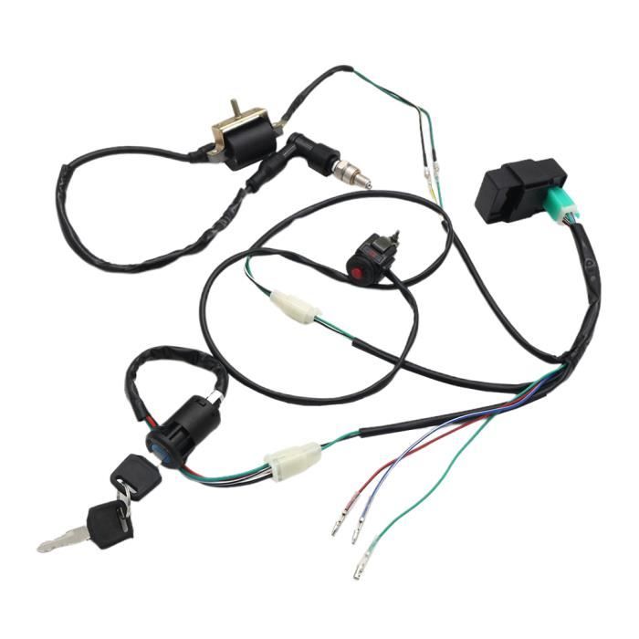 22802902 Citroen Berlingo Faisceau de câblage pour moteur, 69,00