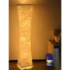 Amdelne Lampadaire sur Pied RGB LED - Moderne, Intensité Variable, Sync Musicale, Télécommande/App, Pour Salon/Chambre Enfant