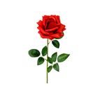 HOBI ROSE ARTIFICIELLE OUVERTE 75CM ROUGE
