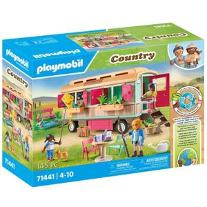 Cdiscount playmobil deals fille