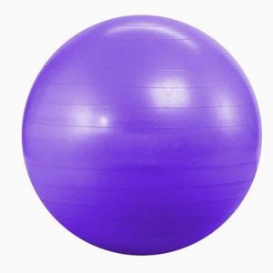 MEDECINE BALL MEDECINE BALL - BALLON DE MUSCULATION Ballon de fitness Kabalo Violet 65cm anti-éclatement pour exercices de yoga et de gymnastique