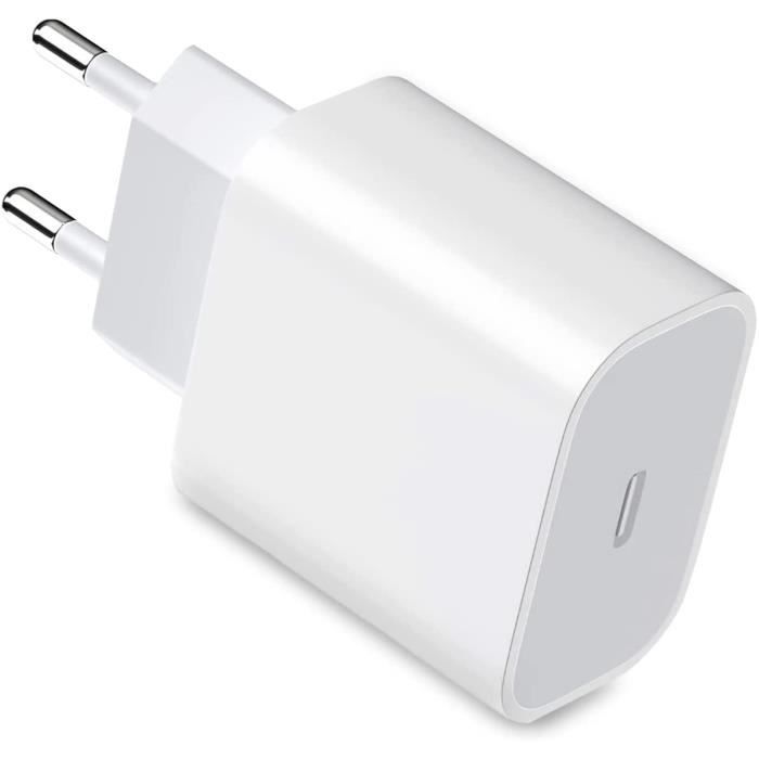 Ugreen Mini Chargeur Rapide USB C PD 20W pour iPhone 14,13 Pro Max- Super  fast charging à prix pas cher