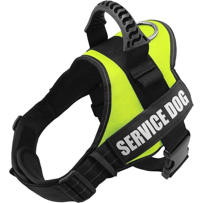 Gilet Orange Pour Chien,Vêtement Fluorescent Pour Chien - Habillement