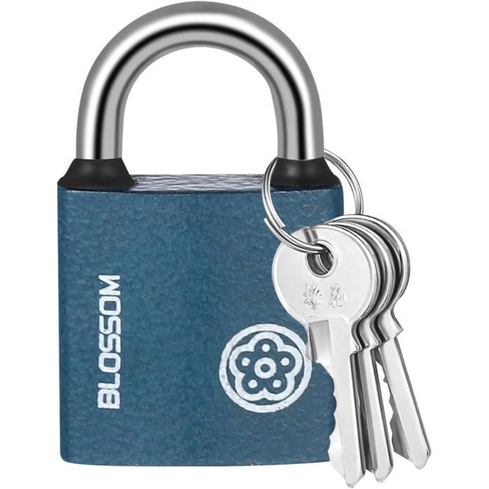 Cadenas disque en acier inoxydable résistant aux intempéries Smith