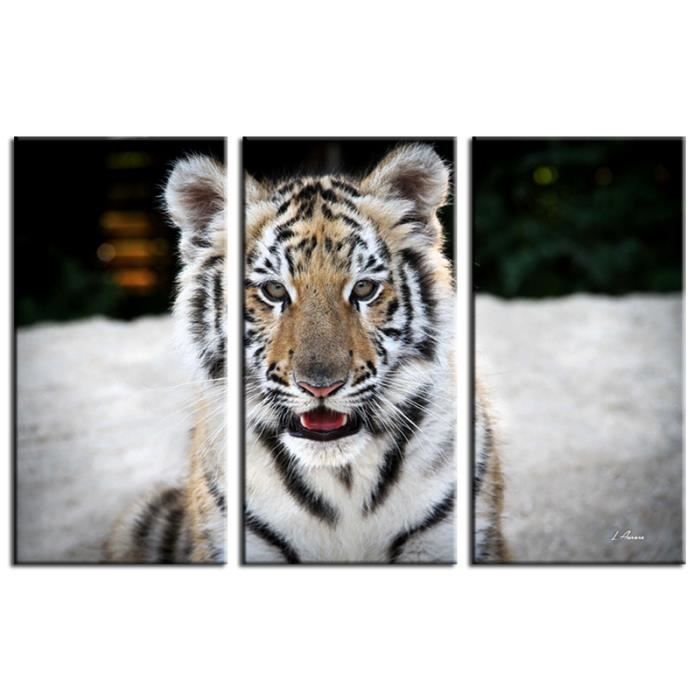 Decoration Murale Photo Sur Toile Tableau Animaux Bebe Tigre 240x1cm Cdiscount Maison Decoration Murale Photo Sur Toile Tableau Animaux Bebe Tigre 240x1cm Cdiscount Maison