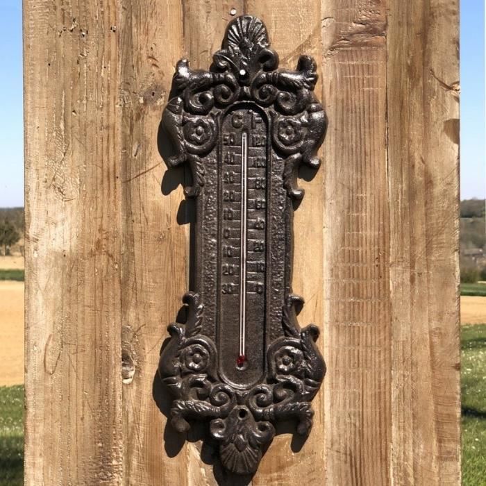 Download Grand thermometre exterieur decoratif For iPhone