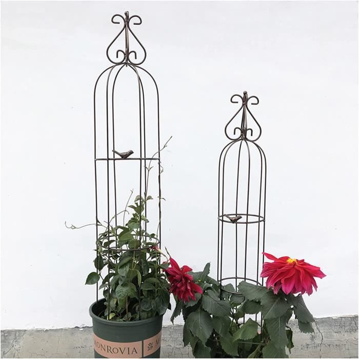 Treillis Obélisque De Jardin Pour Plantes Grimpantes, Tuyau En Acier De