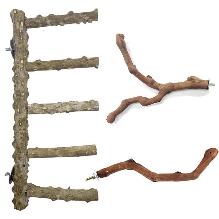 8 Pièces Perchoirs Bois Naturel Pour Oiseaux - Perroquet, Perruche - Avec Vis Et Plateforme - Diam 2-4 Cm
