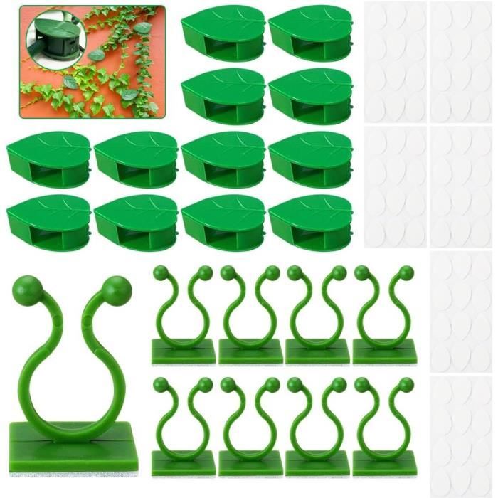 KINGLAKE 100 Pièces Clip Support Plante Grimpante Mural - Blanc Pour Vignes Et Intérieur