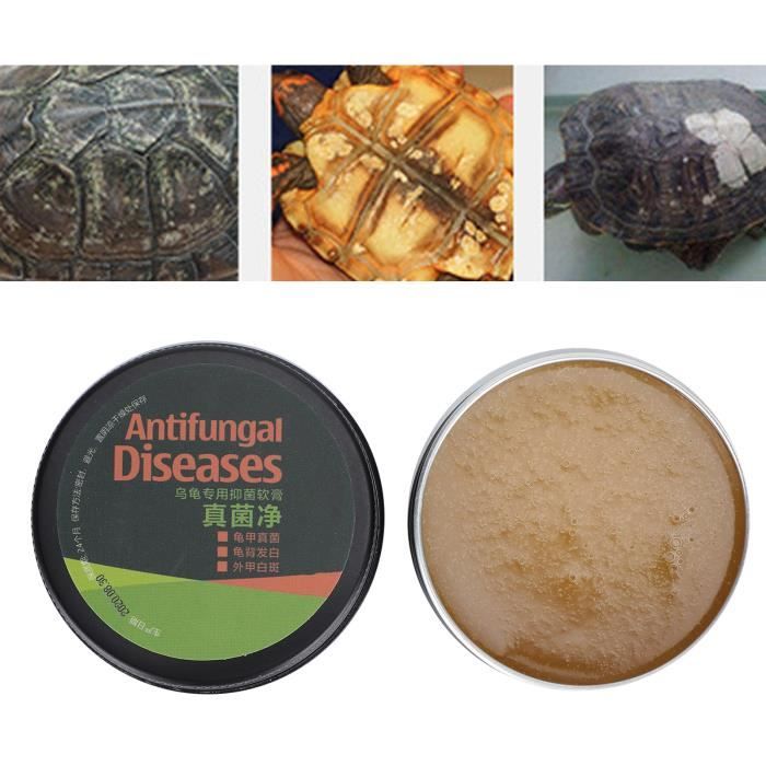 Comparer les prix de VGEBY Crème anti-fongique pour soins de tortue, élimine les champignons et tches blanches sur la carapace