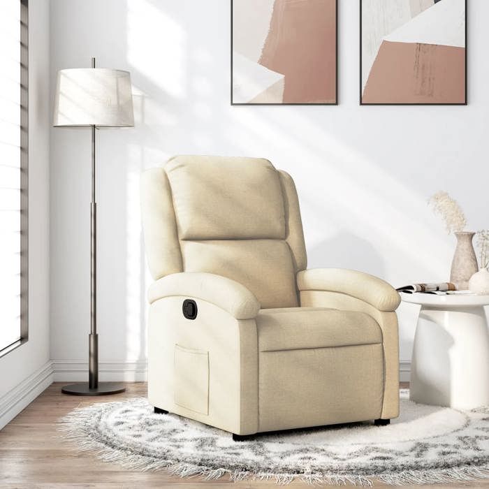 vidaXL Fauteuil Inclinable Chaise de Relaxation avec Dossier et Repose-Pied