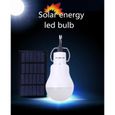 TD® Ampoule lampe solaire énergie solaire LED écologique économie d'énergie longue durée éclairage à suspendre intérieur extérieur-1