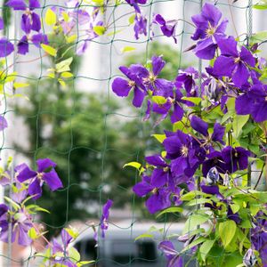 64 Attaches Pour Plantes Jardin - Clips Verts Réutilisables - Pour Tomates, Concombres, Rosiers Grimpants