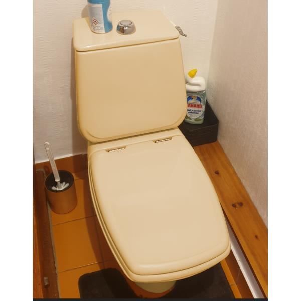 Abattant pour wc SELLES Cheverny beige bahamas COIABCHEVERNYBEBA Cdiscount Bricolage