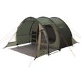 Easy Camp Tente Galaxy 300 3 places rustique Vert-0