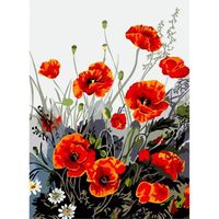 YEESAM ART Peinture par Numero Adulte Coquelicots Rouges, Peinture Numero d Art Sans Cadre 16x20 pouce Acrylique