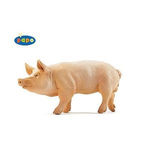 FIGURINE - PERSONNAGE Figurine Verrat - PAPO - Modèle de cochon mâle dom