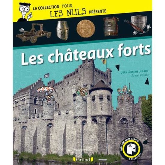 Les Chateaux Forts Cdiscount Librairie