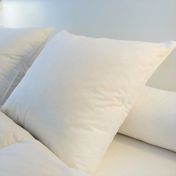 Oreiller Plumes 65x65 cm