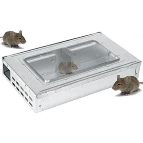 Boîte à appât pour souris en forme de tunnel
