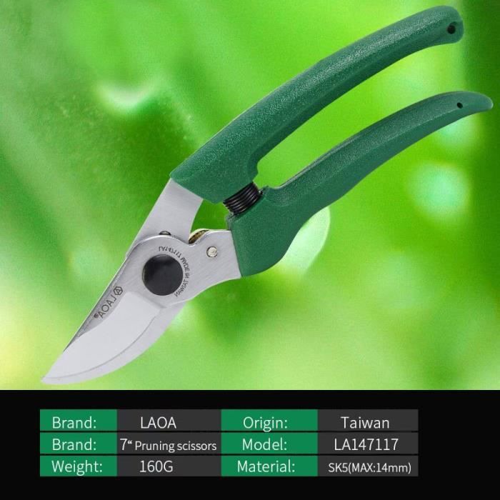 Sécateur Professionnel Jardin - Lames Acier Inox - Coupe Précise - Poignée Ergonomique - Verrouillage Sécurité