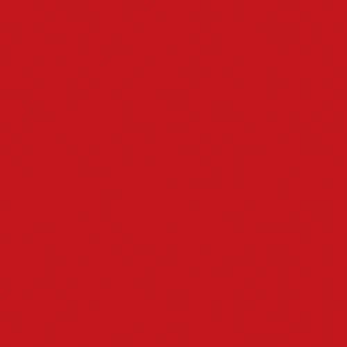 Lot de 12 serviettes DUNI Jetable Dunisoft bio 4 plis 40x40cm - vue 3