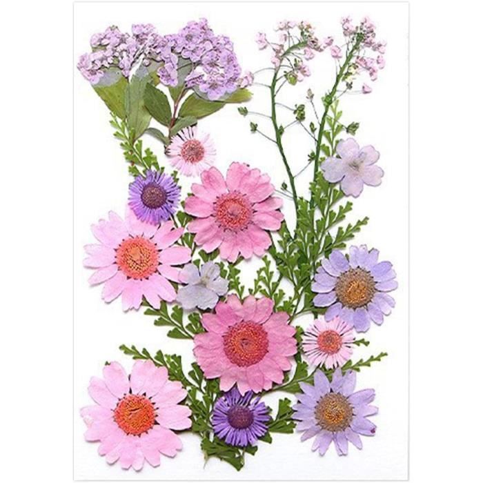 Lot de 84 feuilles séchées pressées - Feuilles d'herbier mélangées - Véritables feuilles naturelles sèches pour résine, artisanat, bricolage, décoration d' ongles, décorations (A