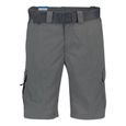 Vêtements Homme Pantalons Columbia Silver Ridge Ii Cargo 12-1
