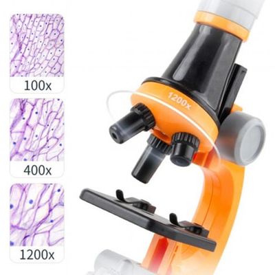 Microscope Portable Pour Enfants – Grossissement 200X à 4800X – Double Éclairage – Diapositives Incluses – Support Téléphone