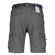 Vêtements Homme Pantalons Columbia Silver Ridge Ii Cargo 12-2