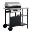 Barbecue à gaz et compartiments - VIDAXL - 92 x 53 x 96 cm - 1 brûleur - Surface de cuisson 49 x 33 cm-0