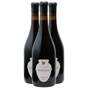 VIN ROUGE Domaine Michaud Frère et Soeur Bourgogne Cuvée Amp