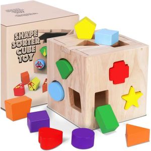 BOÎTE À FORME - GIGOGNE Jeu Cubes En Bois Montessori Bébé Forme Correspond